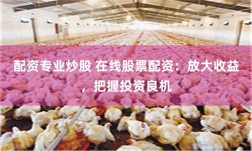 配资专业炒股 在线股票配资：放大收益，把握投资良机