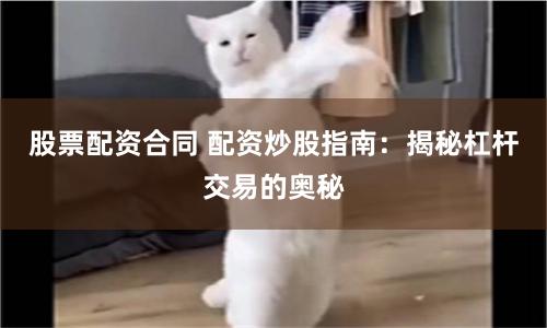 股票配资合同 配资炒股指南：揭秘杠杆交易的奥秘