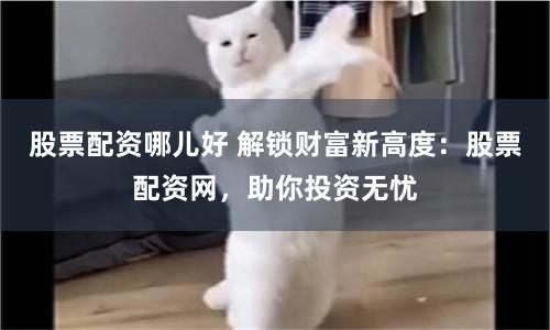 股票配资哪儿好 解锁财富新高度：股票配资网，助你投资无忧