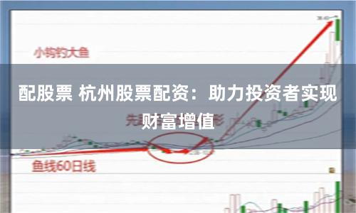 配股票 杭州股票配资：助力投资者实现财富增值