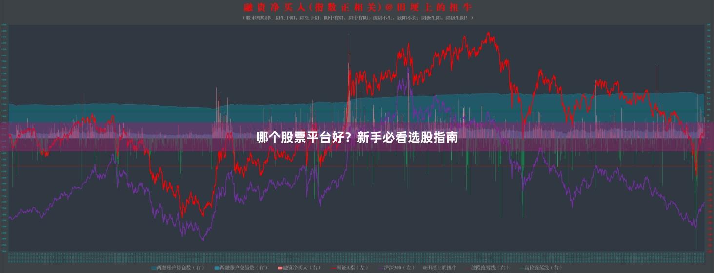 哪个股票平台好？新手必看选股指南