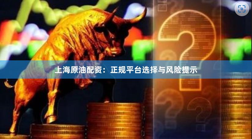 上海原油配资：正规平台选择与风险提示